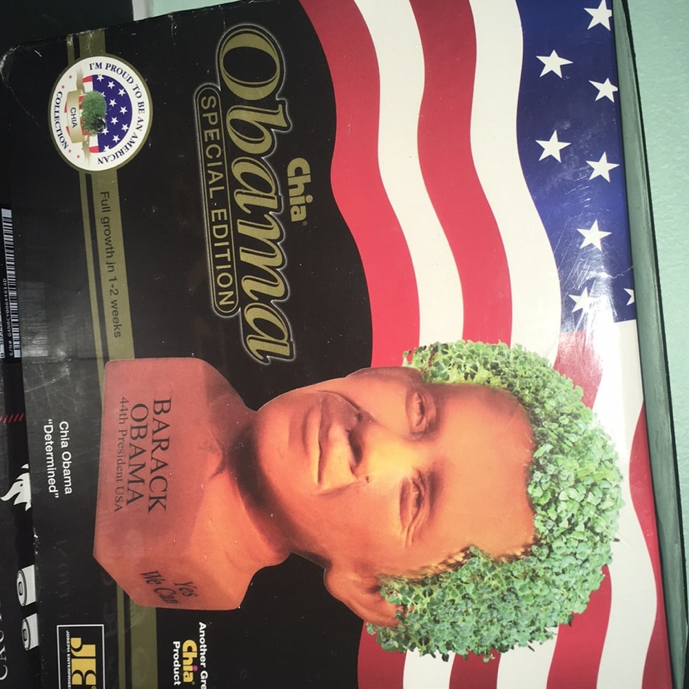 Chia pet